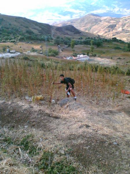 ayoub senkouss
